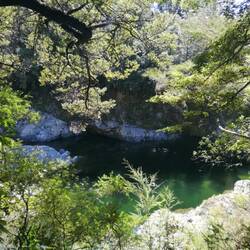 Pelorus river (Hobbit Drehort)