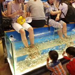 Yes..... I do did try it !