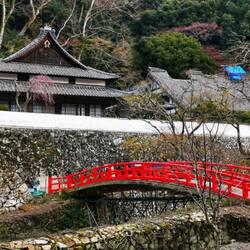 Ryuanji-Tempel im Minoo Park