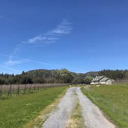 Besoffener Spaziergang. Traumhaus gefunden 😍