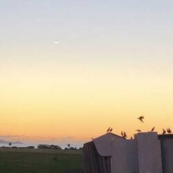 Sonnenuntergang in Nadi