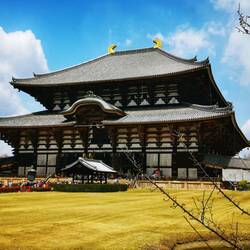 Daibutsu, Nara