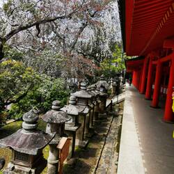 Kasuga-Schrein, Nara