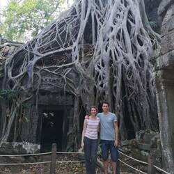 Würgefeige in Ta Phrom