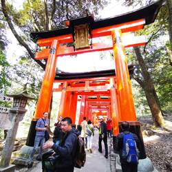 Torii-Tore des Fushimi Inari Schrein, Kyōto