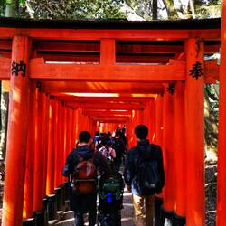 Torii-Tore des Fushimi Inari Schrein, Kyōto