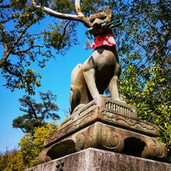 Fuchs-Statue, Fushimi Inari Schrein