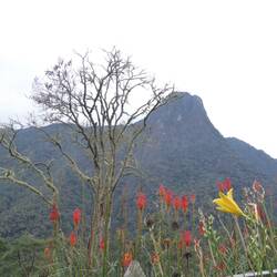 View on the hike @ Cocora valley