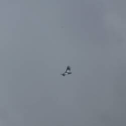 Weer een condor!! @ Cocora valley