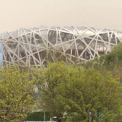 The Birds Nest. - Opening Ceremonies