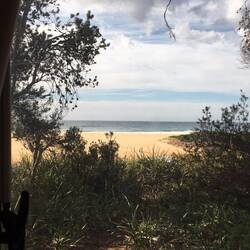 View from our window