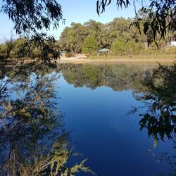 Early morning looking out over Greenbushes Pool