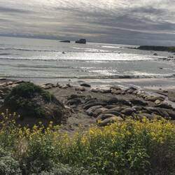 Die sollten weniger futtern 😋