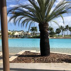 Airlie beach lagoon!