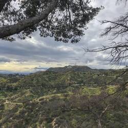 Hollywood Sign