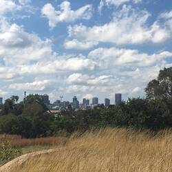 Johannesburg skyline