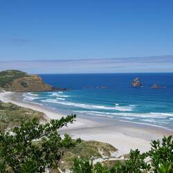 ...übrigens benannt nach fliegendem Sand und nicht nach den gleichnamigen fliegenden Biestern 😌