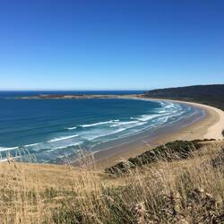 The Catlins