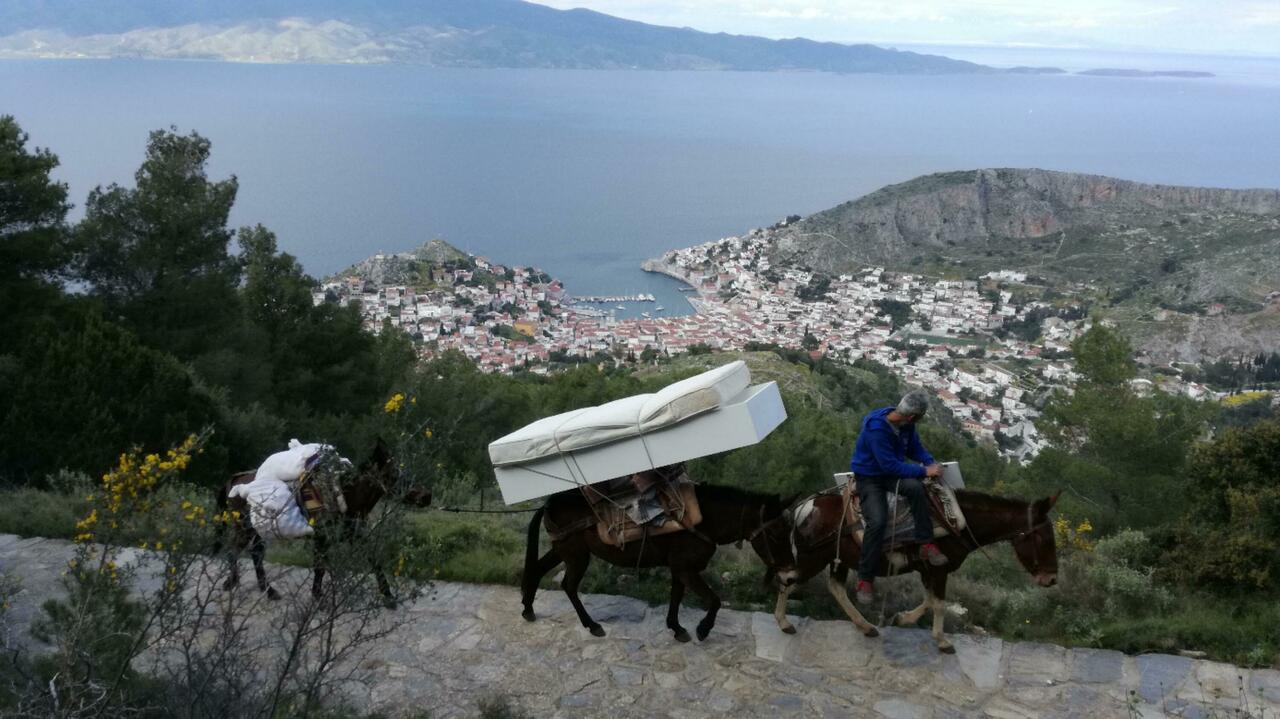 Transporte erfolgen mit Maultieren