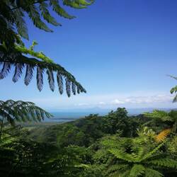 Mount Alexandra Lookout