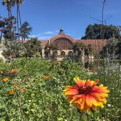 Botanic Building