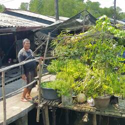 Herb garden over the river