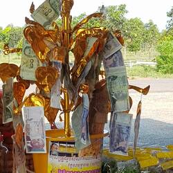 While says money doesn't grow on trees