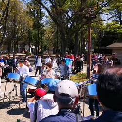 Live Musik im Ueno Park