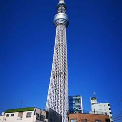 Skytree