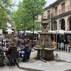 Our friendly plaza in Pontevedra