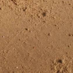 Krebse am lonely beach (hunderte)