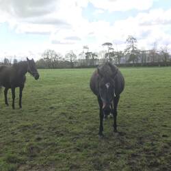 Schwanger sein scheint ja wirklich Spaß zu machen 🤣