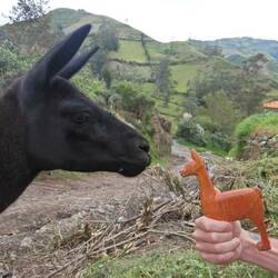 Baby Lama Tito trifft Holzlama Zimmerschlüssel
