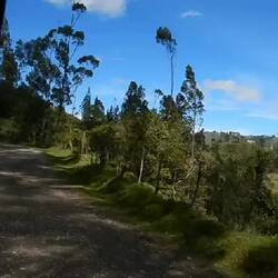 Die schüttelnde Fahrt im Milchtruck