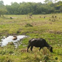 Jexagere. Il y a une reserve naturelle dans le coin et je vois beaucoup de jolis oiseaux.