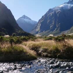 Mittagspause am Monkey Creek (auch an der Strecke zum Milford Sound)