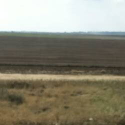 Acres and acres of cultivated agriculture. Crops, vegetables, citrus and bananas growing side by side.