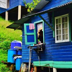 In Old Bank auf der Isla Bastimentos