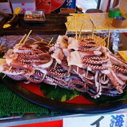 Tintenfisch