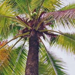 Findest du den kleinen suessen Fratz?