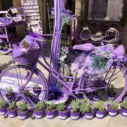 Ganz schön lila 😎