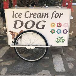 Was es nicht alles gibt