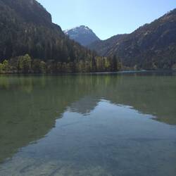 Thumsee