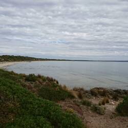Browns Beach