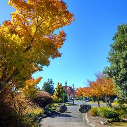 Der Herbst ist da