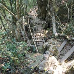 Steep trek to viewpoint