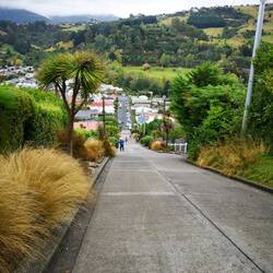 Baldwin Street.