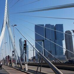 Erasmusbrug