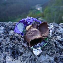 ....und die Einzelteile nach der Bergung 🤣