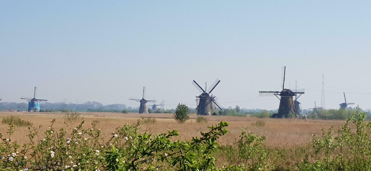 Kinderdijk - Poldermühlen